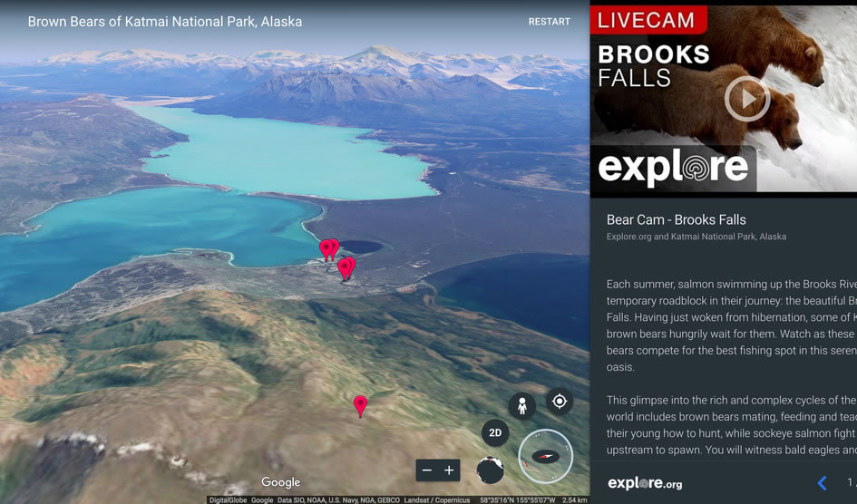 Google Earth artık doğadan canlı yayın yapacak