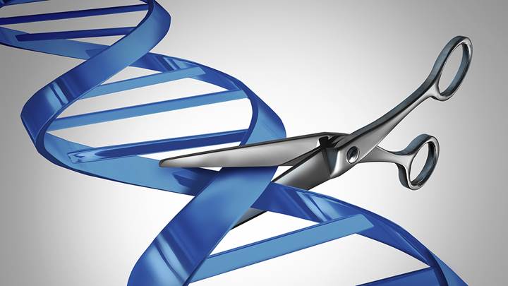 Gen düzenlemede çığır açan CRISPR nedir?