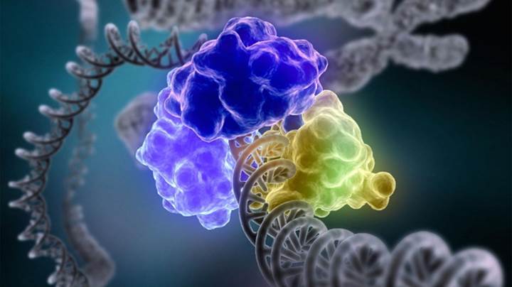 Gen düzenlemede çığır açan CRISPR nedir?