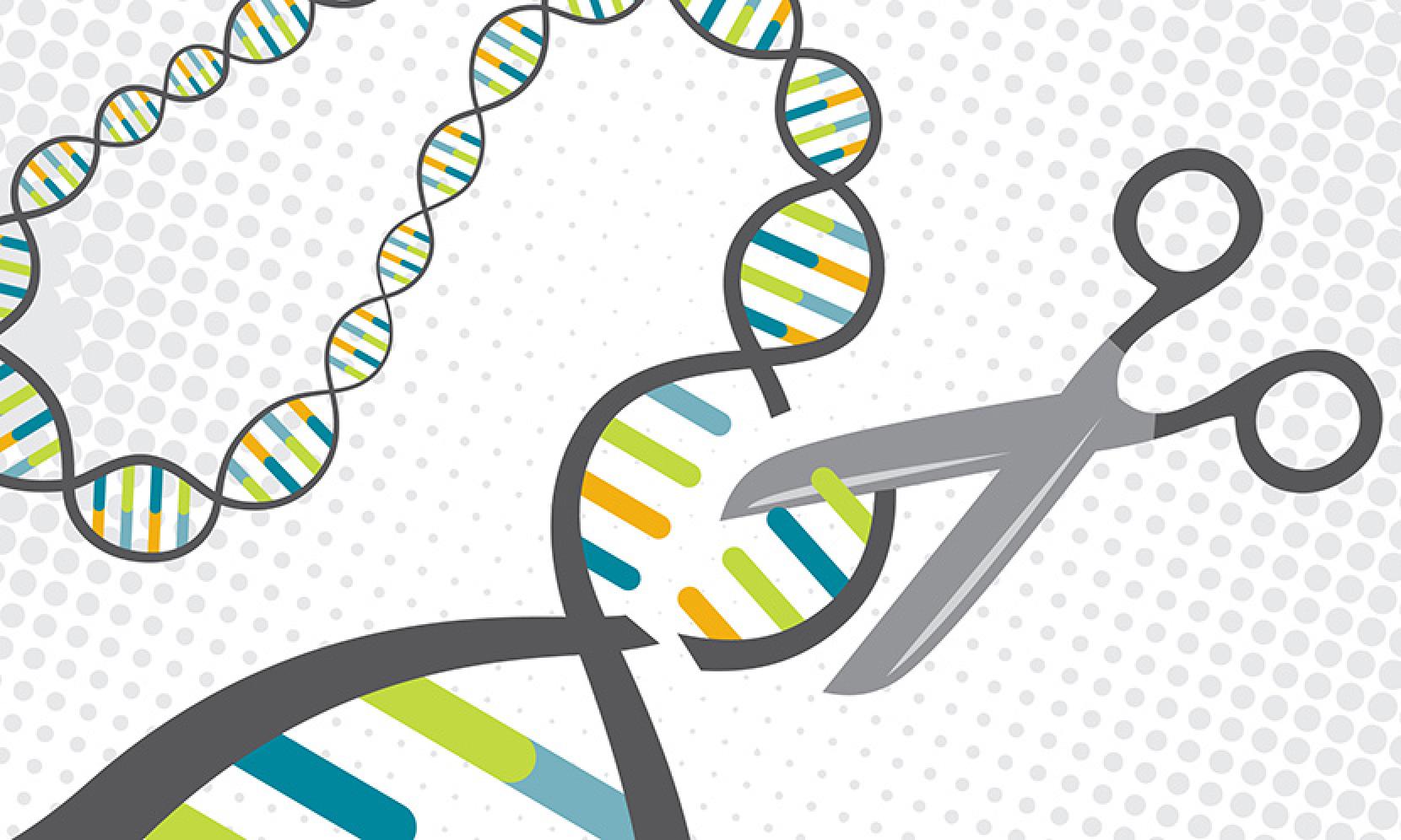 CRISPR ile yapılan önemli yenilikler ve yöntemin dezavantajları