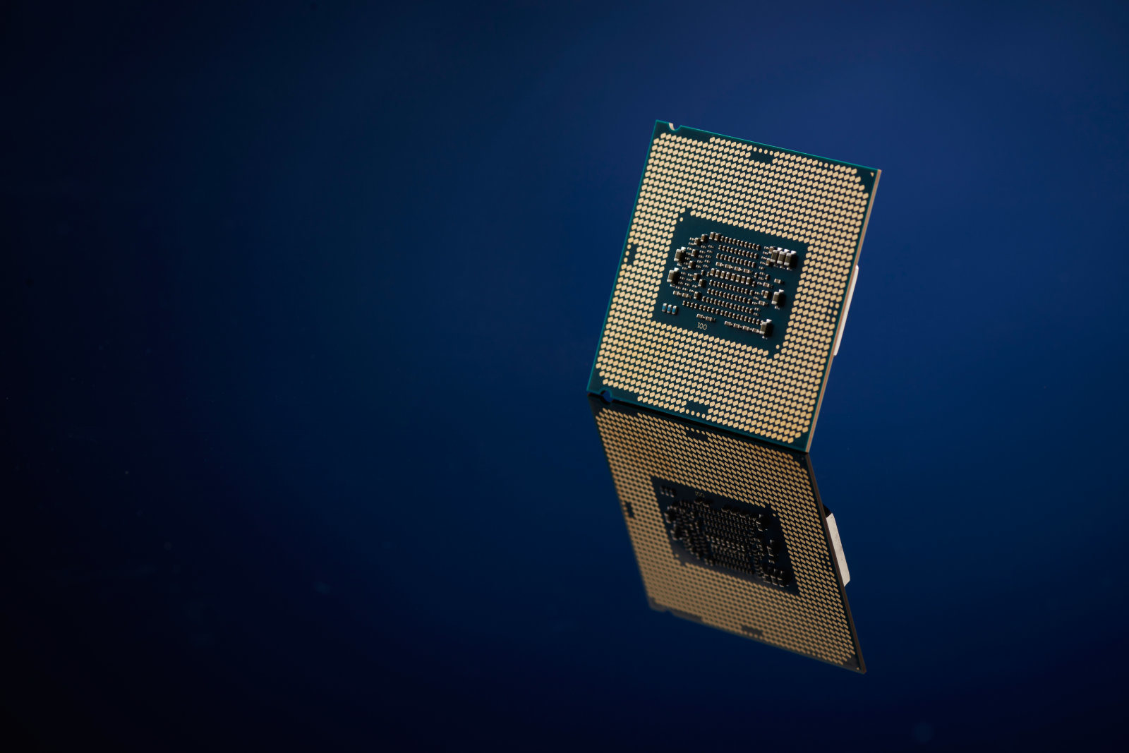 Intel Ice Lake ile ilgili ilk bilgiler geldi