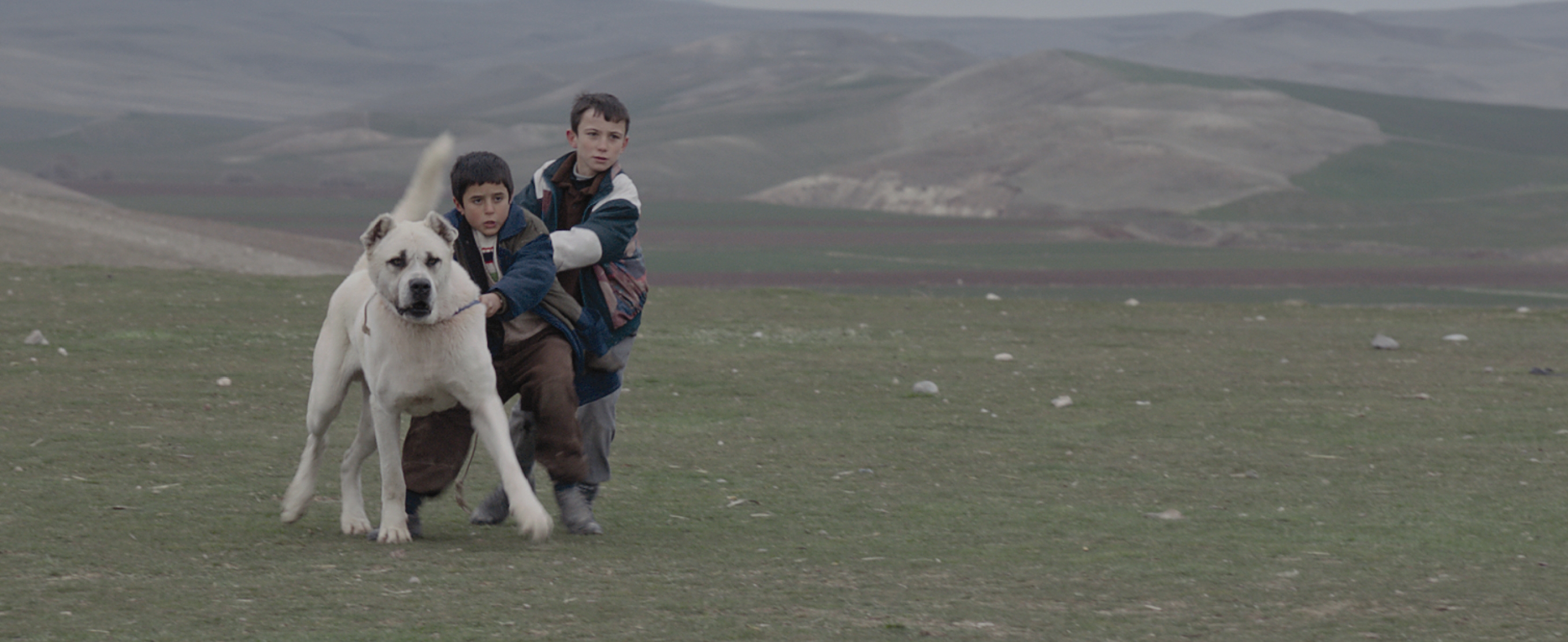 Hollywood'da Türk Film Festivali düzenlenecek