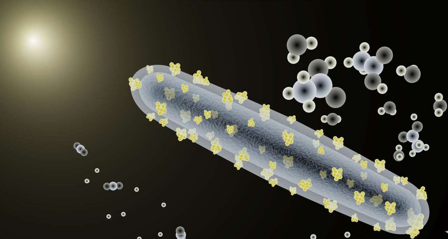 Güneş enerjisinden yakıt üretebilen bakteri geliştirildi