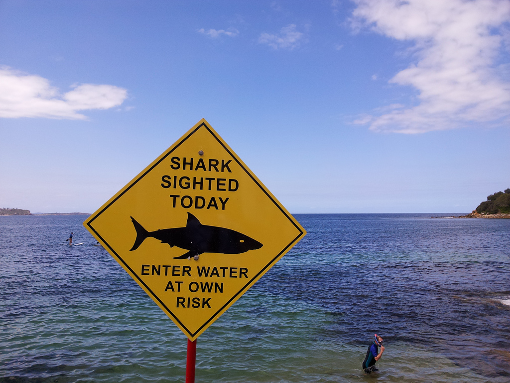 Drone'lar Avustralya kıyılarında köpek balıklarını takip edecek 
