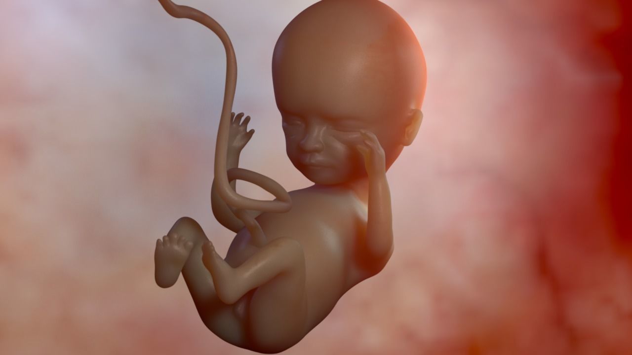 Anöploid embriyodan sağlıklı birey gelişebilir mi? Bir başarı hikayesi