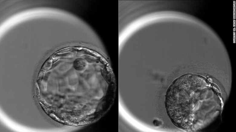 CRISPR Cas 9 kullanılarak IVF’nin başarı oranı yükseltilebilir