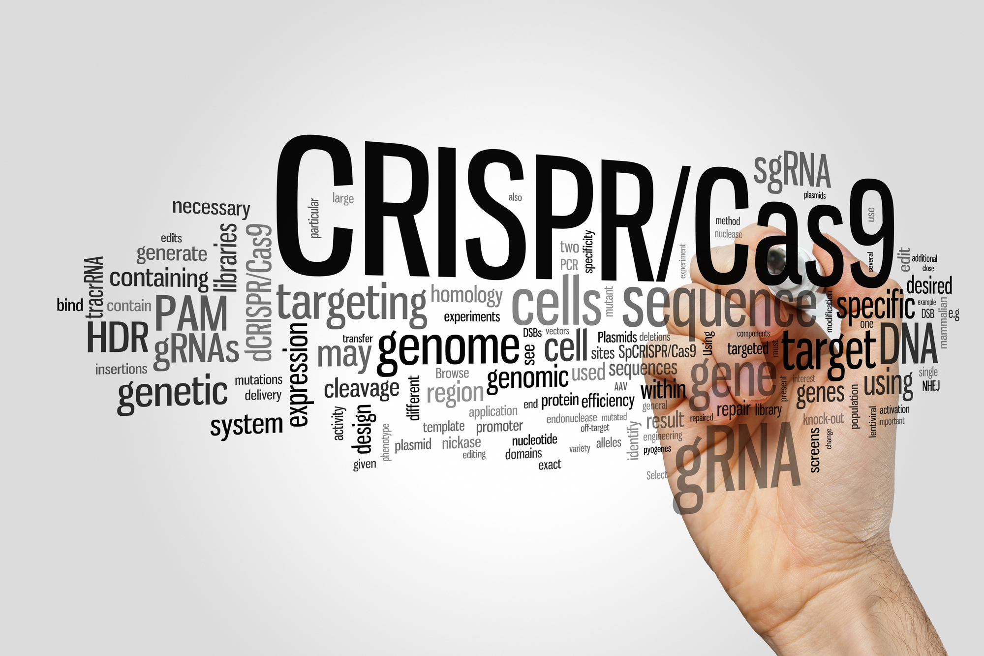 CRISPR alanındaki ilk klinik deneme 2018’de yapılabilir