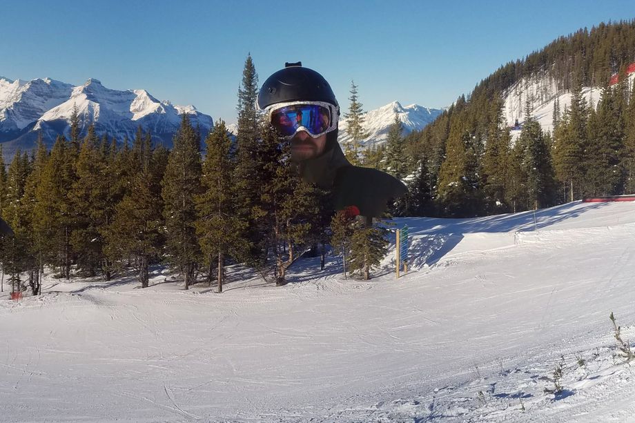 Google Photos’un oluşturduğu panaromik fotoğraf görenleri gülümsetti