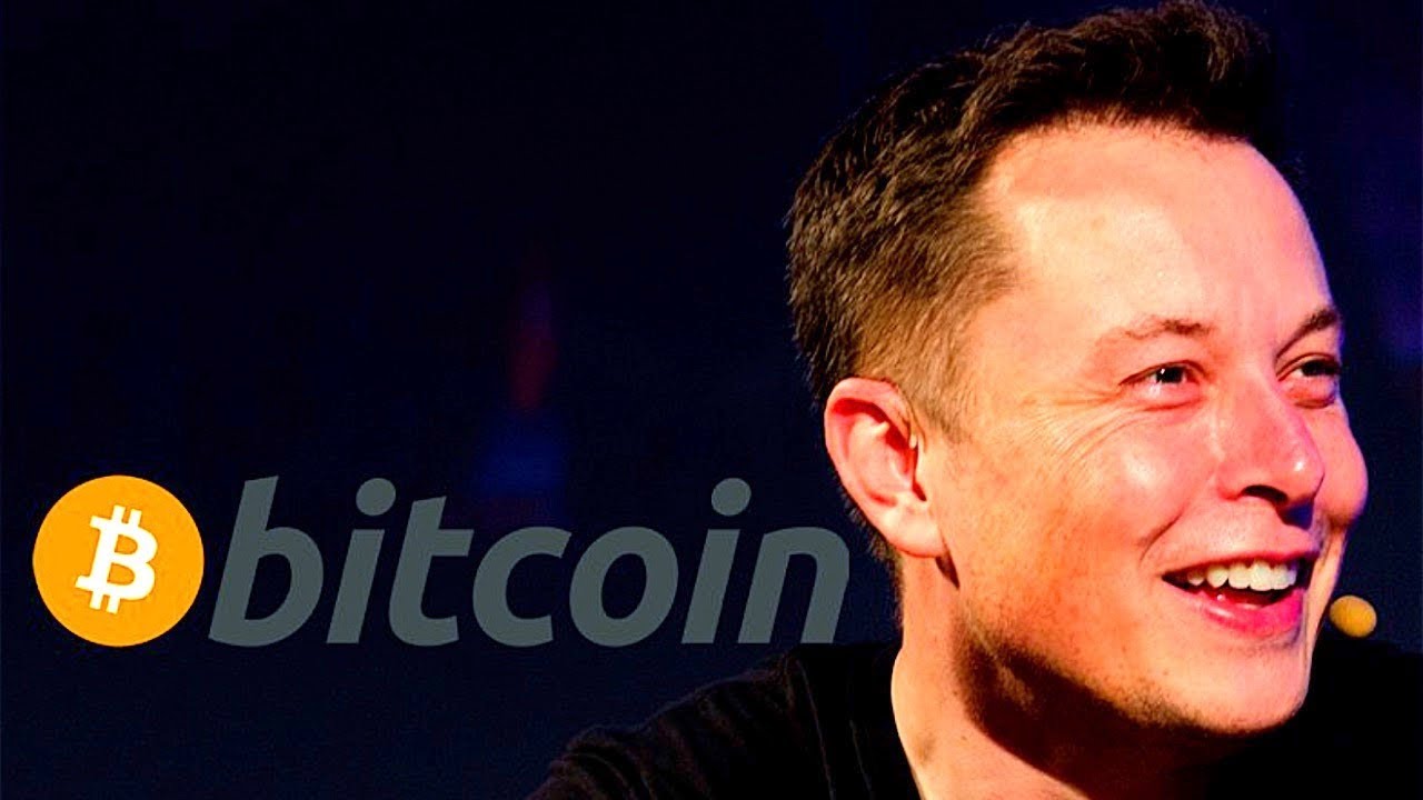 Elon Musk sadece 0.25 Bitcoin'e sahip