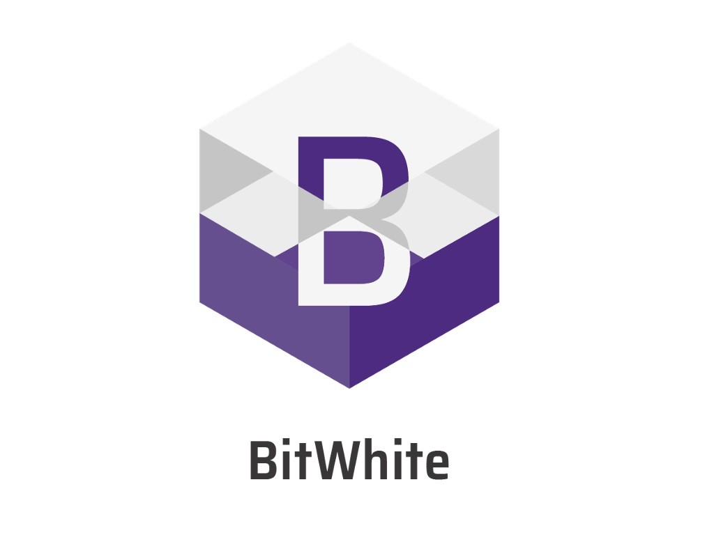 ABD hisse senetleri ilk kez Bir kripto para birimi(BitWhite) İle satın alındı