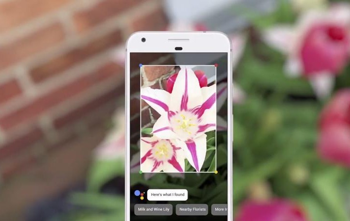 Google Lens artık iOS cihazlarda da kullanılabiliyor