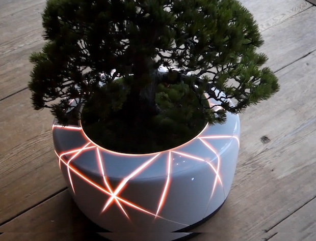 Yapay zeka destekli taşınabilir bitki: BonsAI