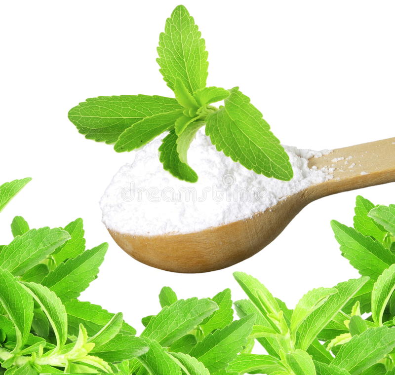 stevia nedir